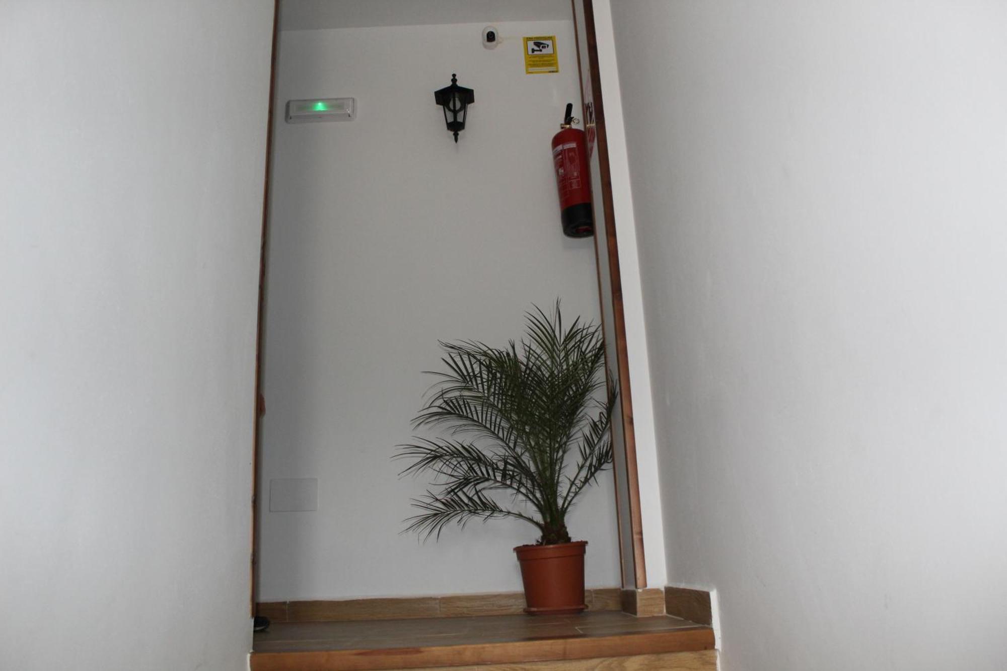 Ninfa De La Sierra Apartment Riopar Bagian luar foto